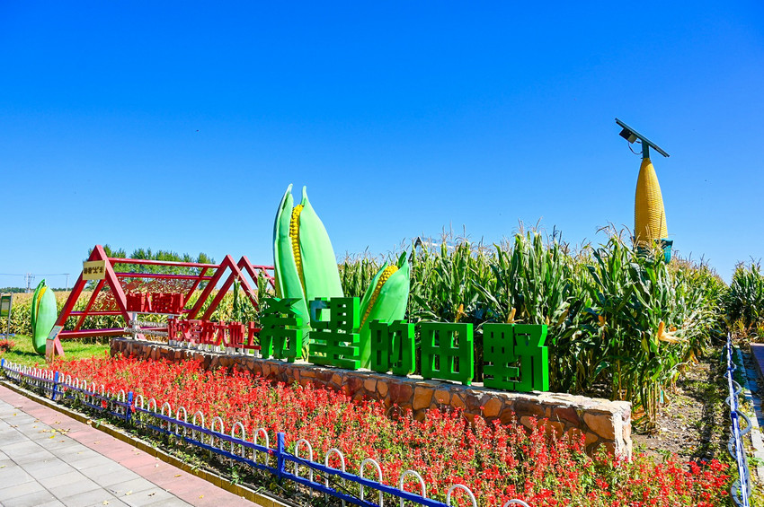 吉林粮食以优质种质为“钥”解锁产业提速“核心密码”(图3)