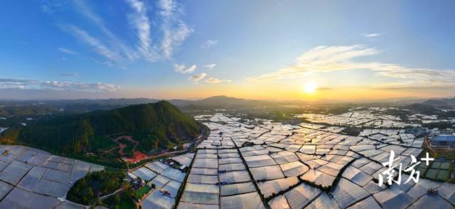 134个镇上榜全国千强广东镇域经济新版图怎么看？(图1)