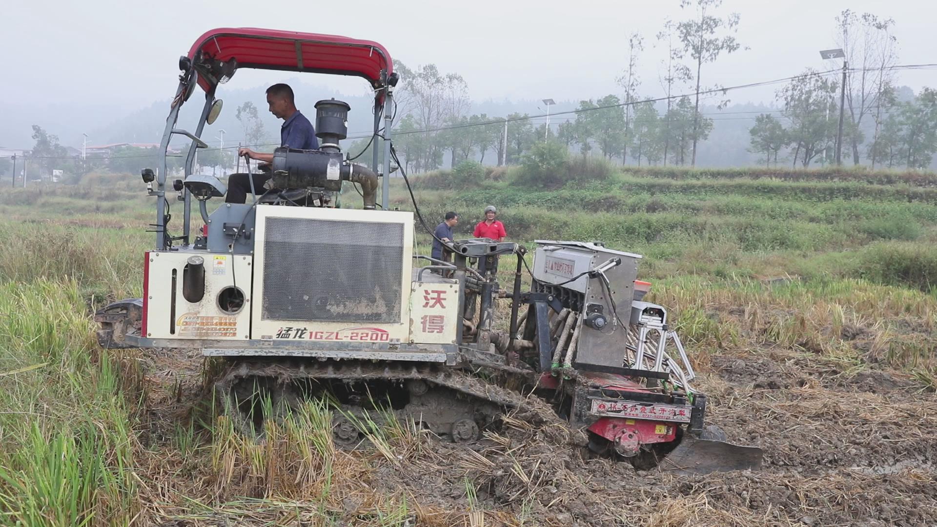 【郴州】资兴坪田村：助力晚稻丰收供销“引擎”全链条服务(图4)