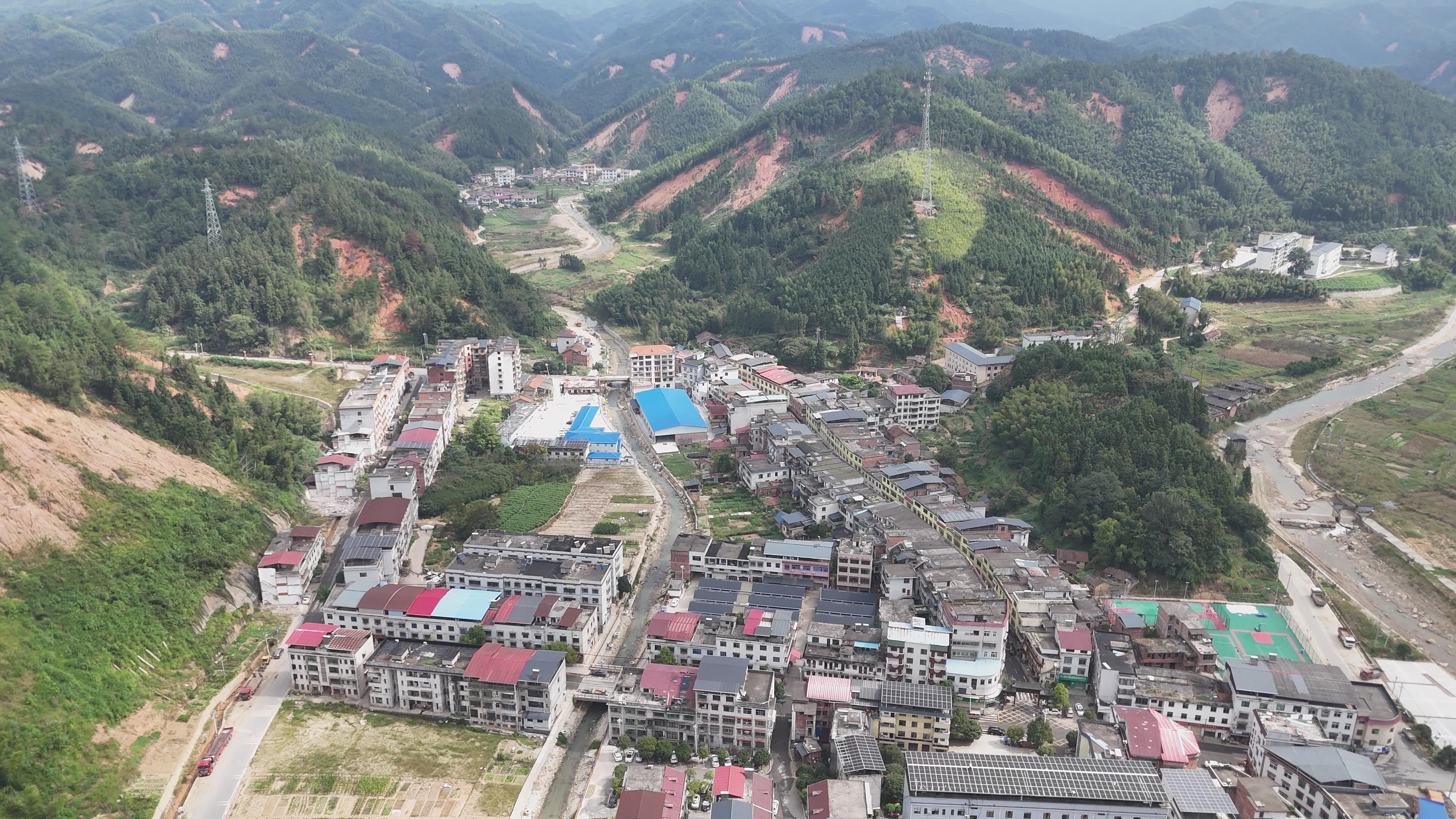 【郴州】资兴坪田村：助力晚稻丰收供销“引擎”全链条服务(图5)