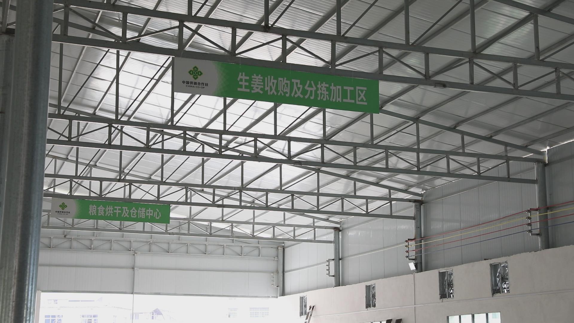 【郴州】资兴坪田村：助力晚稻丰收供销“引擎”全链条服务(图6)