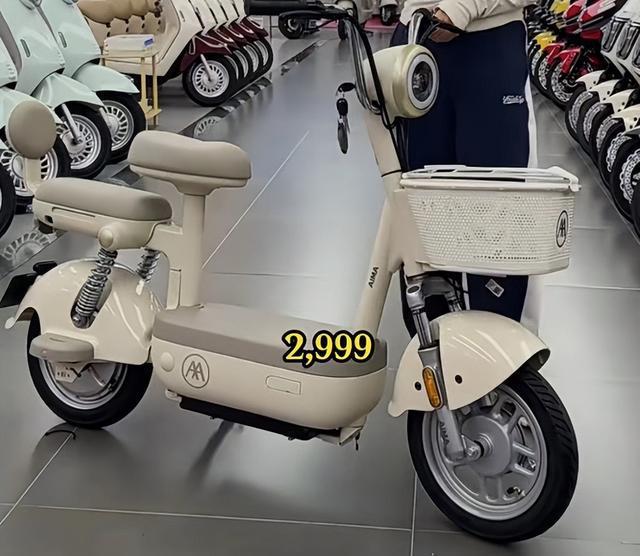 雅迪、爱玛、台铃、新日新国标车开卖！没脚蹬、用铅酸钣金化(图3)