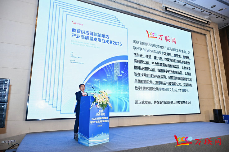 2025数智供应链赋能地方产业高质量发展论坛在武汉成功举行(图2)