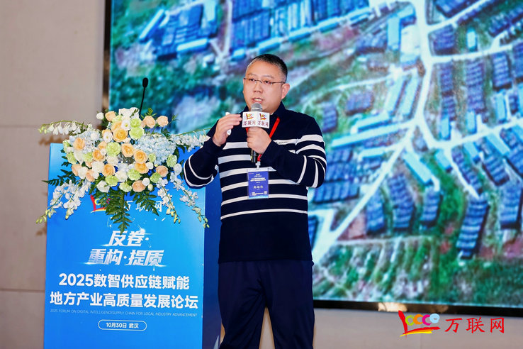 2025数智供应链赋能地方产业高质量发展论坛在武汉成功举行(图8)