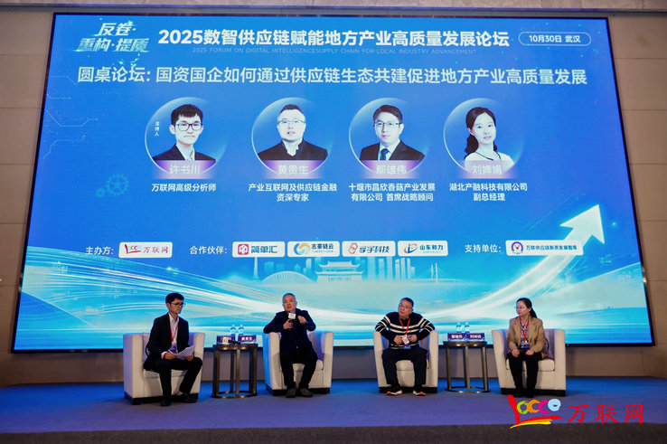 2025数智供应链赋能地方产业高质量发展论坛在武汉成功举行(图15)