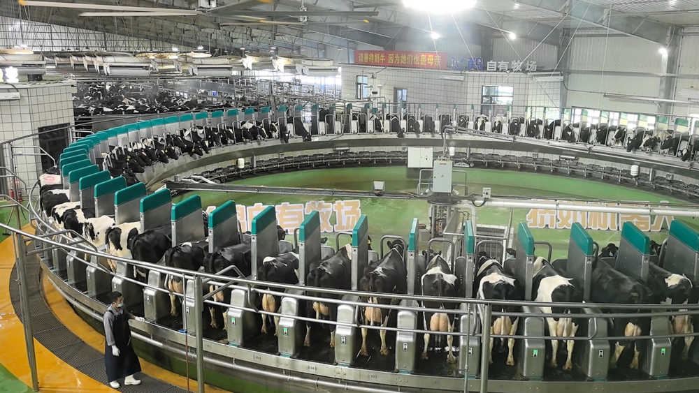 黑龙江省印发方案全链条监管农产品质量(图1)