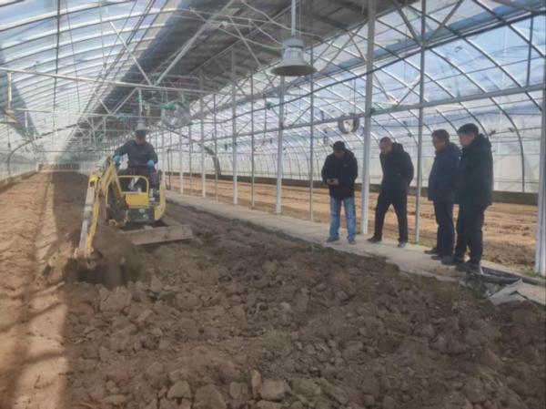 大棚里的“新质生产力”：北京大兴长子营镇废弃物循环链“链”出果蔬好品质(图3)