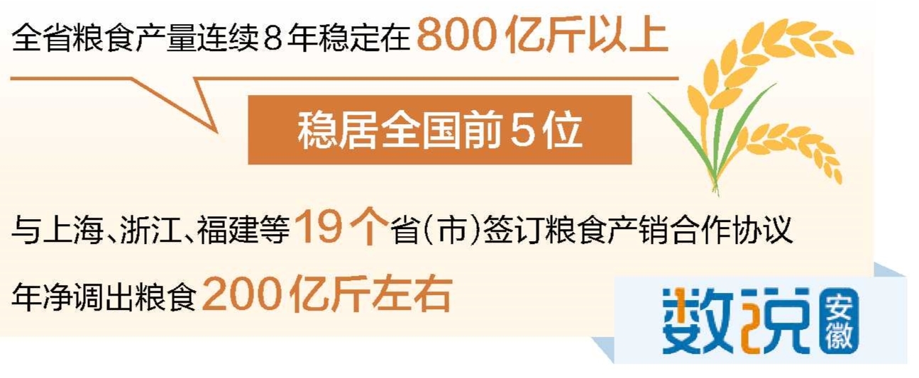 “产购储加销”全链条协同发力——【辉煌“十四五”奋力往前赶】加快建设高水平“江淮粮仓”(图1)