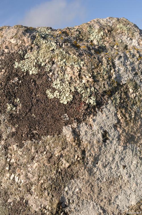 丹麦拒绝让步之际特朗普政府讨论多种方案获取格陵兰岛(图3)