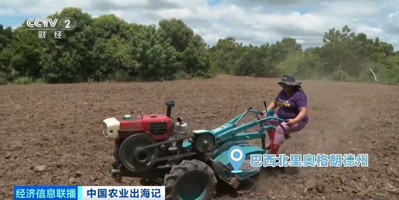 丨从卖设备到卖“体系”中国农机火到海外(图1)