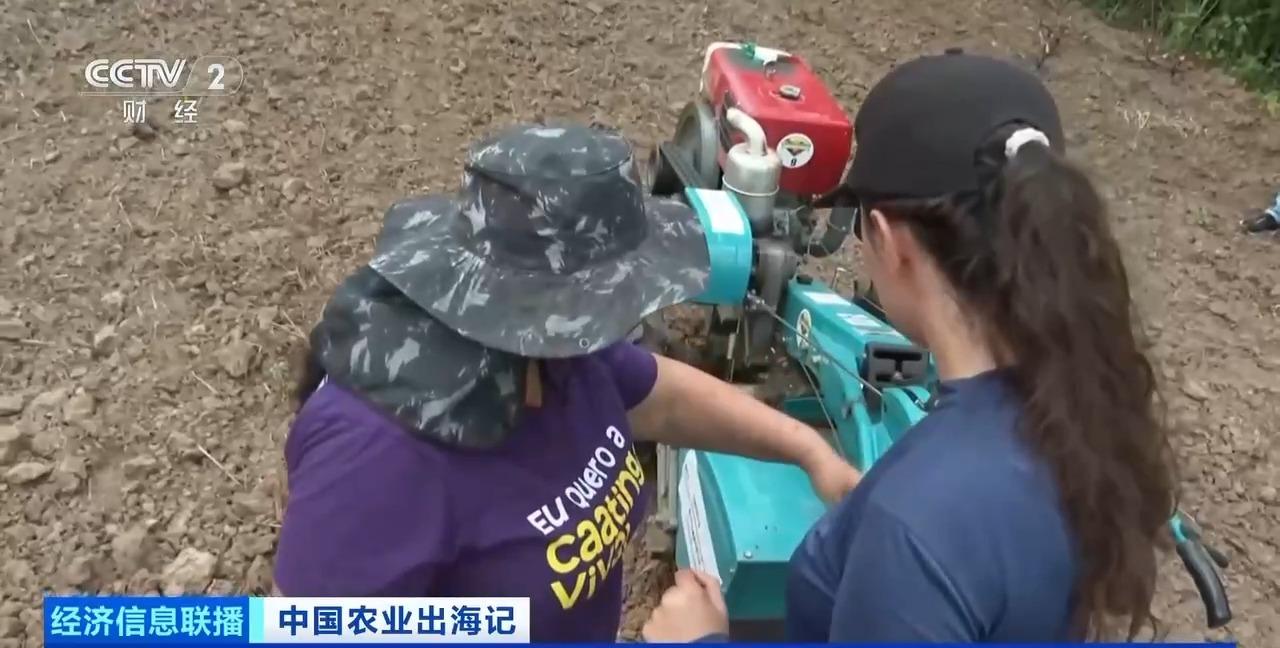 丨从卖设备到卖“体系”中国农机火到海外(图2)