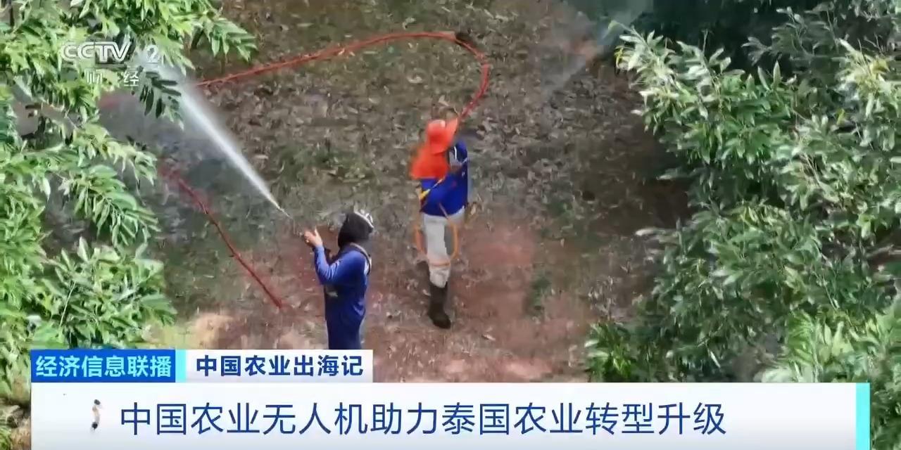 丨从卖设备到卖“体系”中国农机火到海外(图7)