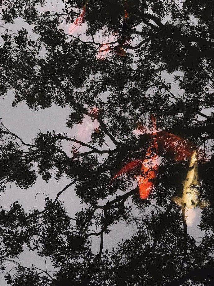 上海桃花源【营销中心】2026上海桃花源网站销售中心(售楼处)欢迎您价格户型地址环境配套交房时间电话(图8)