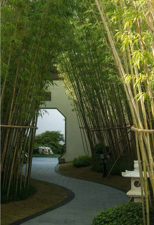 上海桃花源【营销中心】2026上海桃花源网站销售中心(售楼处)欢迎您价格户型地址环境配套交房时间电话(图9)