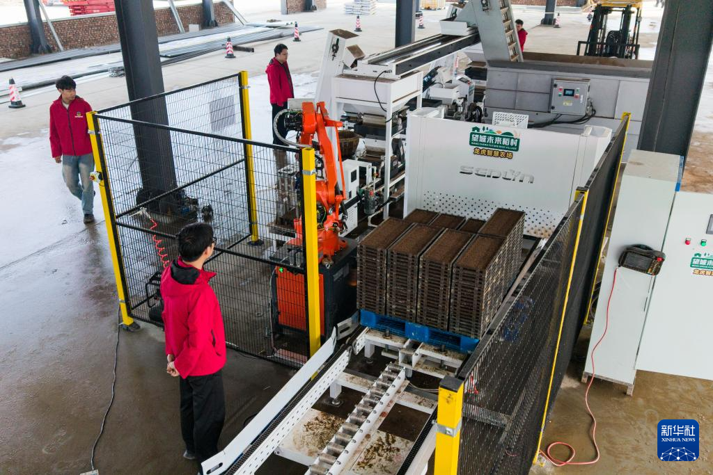 湖南望城：智慧农场春耕忙(图1)