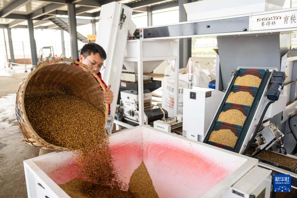 湖南望城：智慧农场春耕忙(图2)