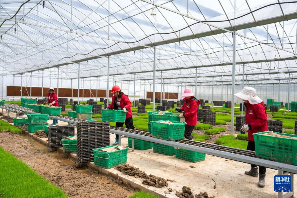 湖南望城：智慧农场春耕忙(图3)