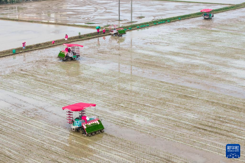 湖南望城：智慧农场春耕忙(图5)