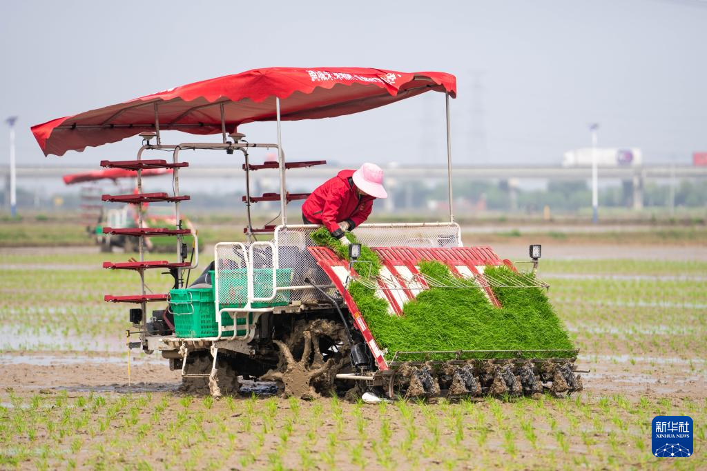 湖南望城：智慧农场春耕忙(图6)